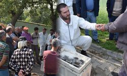 Balıkesir'de bal üreticilerine kraliçe arı dağıtımı