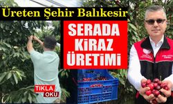 Balıkesir kirazı Latin Amerika sofralarında