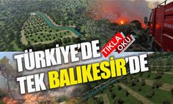 Balıkesir vahşi depolamada ülkeye örnek