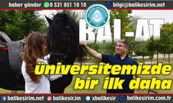 Cins Atlara Balıkesir'de Embriyo Transferi