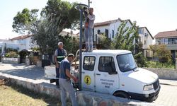 Burhaniye belediyesi caddeleri ışıl ışıl yaptı