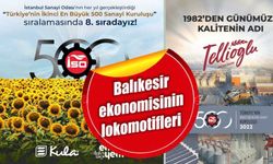 İkinci 500 büyük arasında Balıkesir'den 7 firma