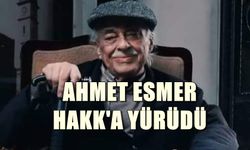 Fotoğraf sanatının usta ismi Ahmet Esmer vefat etti