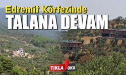 Milli Park eteğine, zeytinlik alana lüks villalar