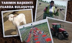 Balıkesir Tarım ve Hayvancılık Fuarı 1 Kasım'da açılıyor