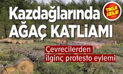 Kazdağları’nda maden için asırlık ağaçlar kesiliyor