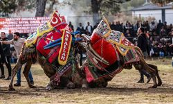 Burhaniye Pelitköy Güreş Arenasında Şov