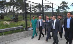 Vali Ustaoğlu, Hayvan Barınağında inceleme yaptı