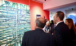 Devrim Erbil Sanat Galerisiydi, Müzeye Dönüştürüldü