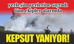 Kepsut’ta 3 ayrı noktada yangın: 1 köy boşaltılıyor