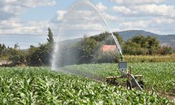 BASKİ, İvrindi’de çiftçinin yüzünü güldürdü