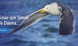 Türkçe Kırgızca Çeviri ve Türkçe Ukraynaca Çeviri