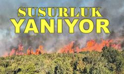 Susurluk'ta büyük yangın! Alevler her yeri sardı