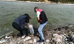 Balıkesir'deki göletlere yavru balık saldılar