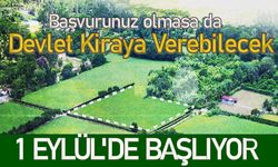Tarlanız varsa kontrol edin... 1 Eylül'de başlıyor!