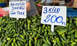 Kornişonun Başkenti Balıkesir'de ihracat 4 kat arttı