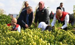 Vali Ustaoğlu, Kadın Çiftçiler Günü'nü böyle kutladı