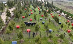 Altıeylül'de Can Dostlarına Modern Barınak Müjdesi