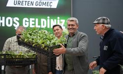 Gömeç Belediyesi 50 bin Enginar Fidanı dağıttı