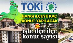 Balıkesir'de konut yapılacak yerler ve başvuru koşulları