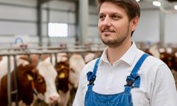 Balıkesir hayvancılığına şap hastalığı tehdidi