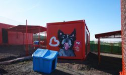 Balıkesir’den Türkiye’ye örnek proje