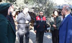 Balıkesir’de Organik Zeytin Köyü modeli genişliyor