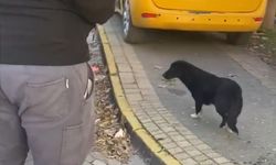 Erdek'te yürekleri ısıtan candost müdahalesi