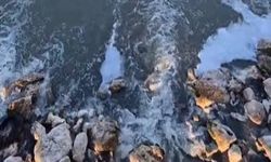 Gönen Çayındaki kirlilik için Bakanlık alarma geçti