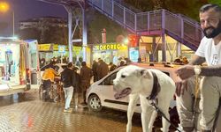 Kanlı Saldırının Çelik Yelekli Zanlıları Yakalandı