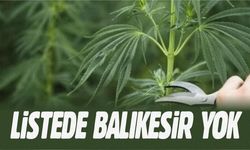 Tarımın Başkentiyiz, ama Balıkesir kapsam dışı kaldı!