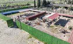 Burhaniye'de sokak hayvanları için 5 yıldızlı tesis