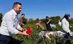 Balıkesirli Çiftçilere 867 Milyon TL’lik Tarımsal Destek