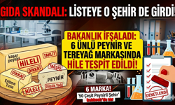 Sofrada hile var! 50 çeşit peynirli şehir de listeye girdi