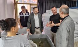 Balıkesir’de ilk: Deniz Patlıcanı yavrusu üretildi