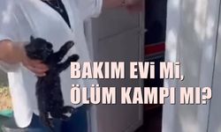 Altıeylül'de skandal görüntüler ortaya çıktı!