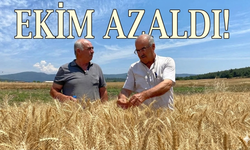 Bigadiç’te haşhaş ekim alanları 11 bin dönümden 700 dönüme geriledi