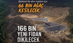 Balıkesir'in dağı taşı alın. Türkiye ekonomisine can olacak