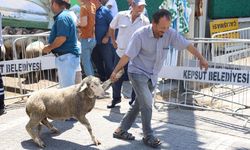 Kepsut Belediyesi’nden Üreticiye Tam Destek