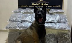 Zehir tacirlerinin oyununu Narkotik Köpeği Dark bozdu