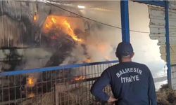 Kepsut'taki Saman Damı Yangını Korkuttu