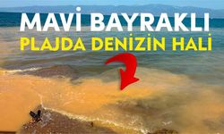 Burhaniye'de mavi bayraklı plajda kirlilik paniği