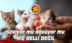 DÖVÜYOR MU, SEVİYOR MU?