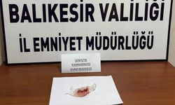 Manyas’ta Bonzai Hammaddesi Yakalandı