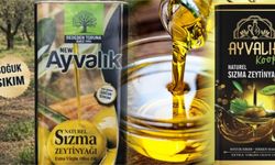 Tağşişin böylesi; Artvin'de Ayvalık zeytinyağı üretmiş!