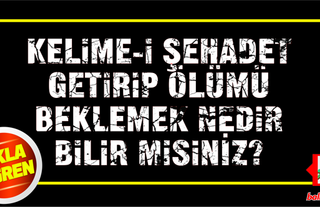 Şehirleştikçe vahşileştik, medenileştikçe eşekleştik!
