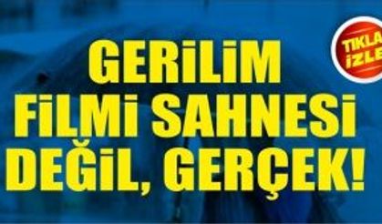 ALEMİN SAHİBİ...