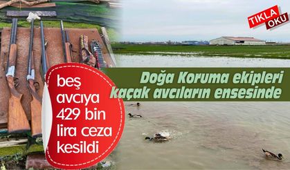 Balıkesir’de 5 ördek avcısına 429 bin lira ceza