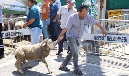 Kepsut Belediyesi’nden Üreticiye Tam Destek