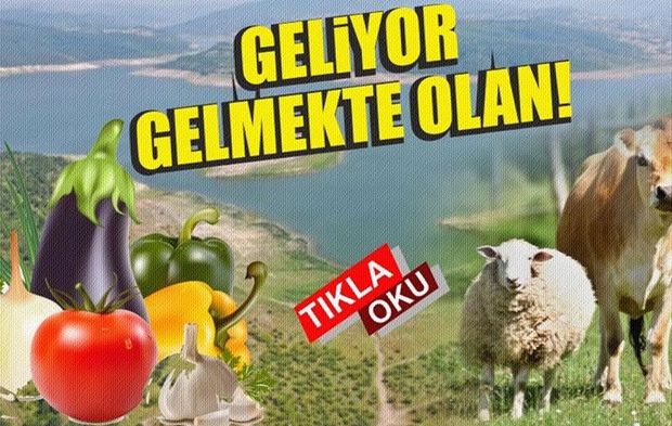 BALIKESİR'DE SU KRİZİ KAPIDA